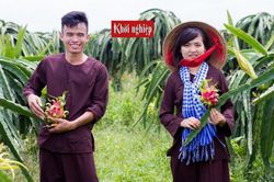 9x bền bỉ trồng thanh long tươi - ngon - sạch - an toàn