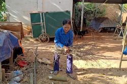 Ly hương nào ai muốn?