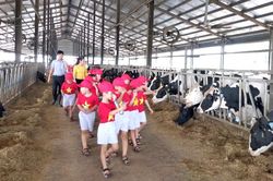 Vui cùng hoạt động trải nghiệm thực tế