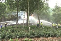 Diễn tập chữa cháy rừng tại xã Cù Vân