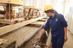 Nghiên cứu áp dụng sàng tách nước cao tần để tách nước bùn quặng đuôi thải tuyển nổi