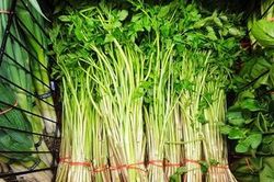 Những ai không nên ăn rau cần?