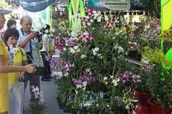 Khai mạc tuần lễ sinh vật cảnh TP Hồ Chí Minh năm 2019