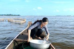 Đậm đà cơm nhà