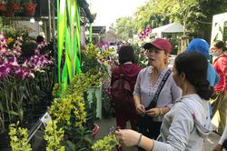 Khai mạc tuần lễ sinh vật cảnh TPHCM