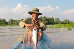 Săn cá vồ đém