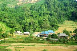 Lộc rừng