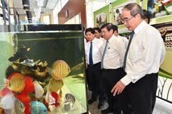 TPHCM xây dựng bộ tiêu chí nông thôn mới phù hợp với quá trình đô thị hóa