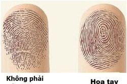 10 giây nhìn hoa tay biết ngay vận mệnh giàu sang hay nghèo khổ