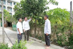 Người hoạt động không chuyên trách không tiếp tục bố trí công tác do giảm chức danh được hỗ trợ gì?