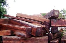 Bắt giữ một xe máy cày chở gỗ không rõ nguồn gốc