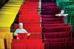 Tìm giải pháp phát triển bền vững Trà và Tơ lụa Bảo Lộc