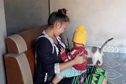 Hạnh phúc sau tháng ngày lưu lạc