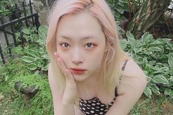 Tội ác tình dục có bị trừng phạt sau cái chết của Sulli, Goo Hara?