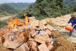 Lào Cai: Tiêu hủy lô hàng nhập lậu trị giá gần 1 tỷ đồng