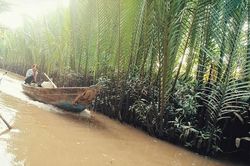 Đến cầu Rạch Miễu, hưởng ngoạn hai ốc đảo xanh mướt trên sông Tiền