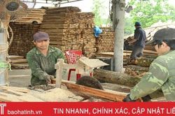 Hà Tĩnh 'bỏ túi' 2.000 tỷ đồng/năm từ chế biến lâm sản