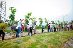 Bảo vệ môi trường, xã hội hóa toàn dân trong phong trào trồng cây gây rừng
