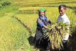 Yên Bái: Yên Bình đẩy mạnh nguồn xã hội hóa để xây dựng nông thôn mới