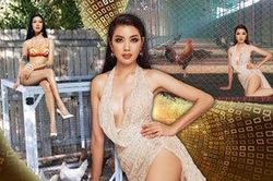 Được fan gọi 'Miss chuồng gà', Thúy Vân lên tiếng: 'Mình yêu và nể sự sáng tạo của các bạn'