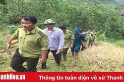 Ngăn chặn buôn lậu lâm sản, bảo vệ rừng trên địa bàn các huyện miền núi