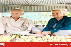 Đâu rồi đạo lý 'Trẻ cậy cha, già cậy con'?