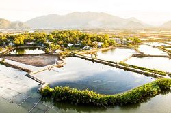 Mùa đông Nha Trang