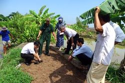 Tiềm năng từ nuôi rươi bán tự nhiên