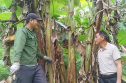 Tiếp thêm sức mạnh cho tổ chức Đảng ở cơ sở - Bài 2: Năng lực lãnh đạo được nâng lên