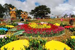 Nhiều hoạt động hấp dẫn tại Festival hoa Đà Lạt 2019
