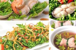 Công dụng tuyệt vời của hoa thiên lý - thực phẩm siêu bổ dưỡng!