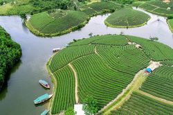 Về nơi non xanh nước biếc xứ Nghệ