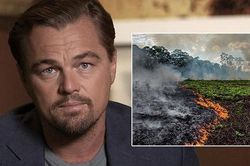 Tổng thống Brazil: 'Leonardo DiCaprio, anh đang tài trợ đốt rừng Amazon đấy'