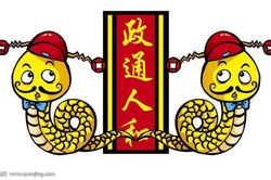 Dự đoán ngày mới 01/12/2019 cho 12 con giáp: Tý Sửu Mùi bội thu, Ngọ mất cửa
