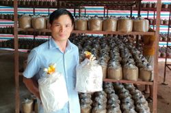 Lập nghiệp từ đam mê làm nông nghiệp theo hướng công nghệ cao