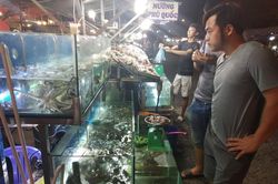 Vào mùa sam, đề phòng ngộ độc con so