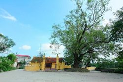 Hà Nội: Ghé thăm ngôi làng cổ có tuổi đời 500 tuổi