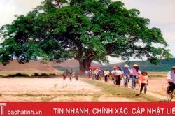 Nhớ làng!