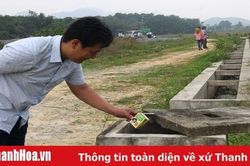 Nan giải vấn đề xử lý rác thải nông nghiệp