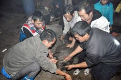 Người Hà Nhì đón Tết cổ truyền Ga Tho Tho