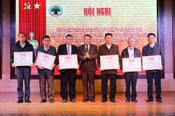 Hội Người cao tuổi tỉnh: Tổng kết công tác năm 2019; đánh giá kết quả 3 năm triển khai Đề án nhân rộng mô hình CLB liên thế hệ tự giúp nhau