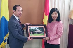 Đoàn công tác tỉnh Tuyên Quang thăm và làm việc tại Nhà máy Giấy Braviken và Đại sứ quán Việt Nam tại Thụy Điển