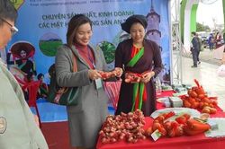 Hội chợ nông sản Việt Nam – Lào – Campuchia diễn ra tại Đà Lạt
