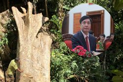 Bí thư Đắk Lắk: 'Rừng đặc dụng Nam Kar bị tàn phá là việc rất nghiêm trọng'