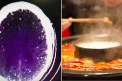 Sán chui lên não vì ăn thịt sống từ món lẩu