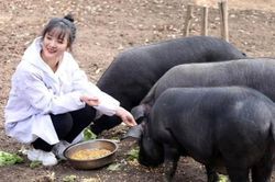Gái ế 24 tuổi, bố 'treo thưởng' bá đạo cho con rể tương lai