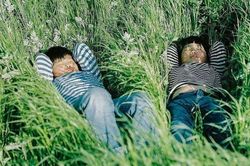 Sẽ ngưng phán xét, khi chúng ta đủ…'chín'