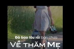Hành trình đẹp nhất là hành trình trở về nhà