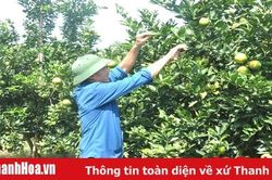 Nông dân Thanh Hóa với chương trình mỗi xã một sản phẩm