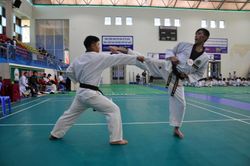 Hơn 220 môn sinh Taekwondo thi nâng đẳng đai đen quốc gia